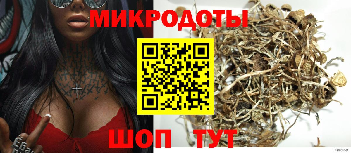 Галлюциногенные грибы Psilocybine cubensis Мирный